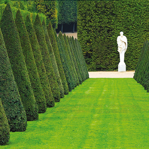 gazon prestige - 10kg - 400m2